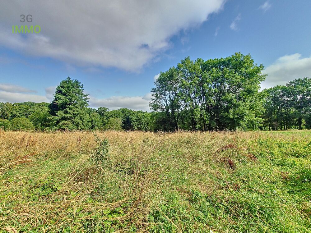 Vente Maison Maison ancienne 4 pi�ces Franquevielle