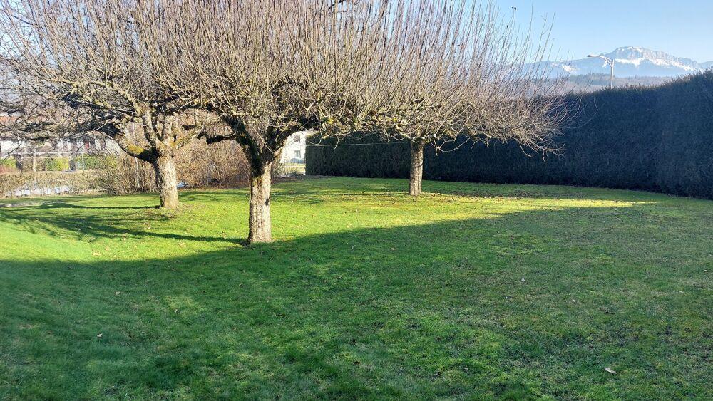 Vente Terrain Terrain constructible Allonzier-la-caille