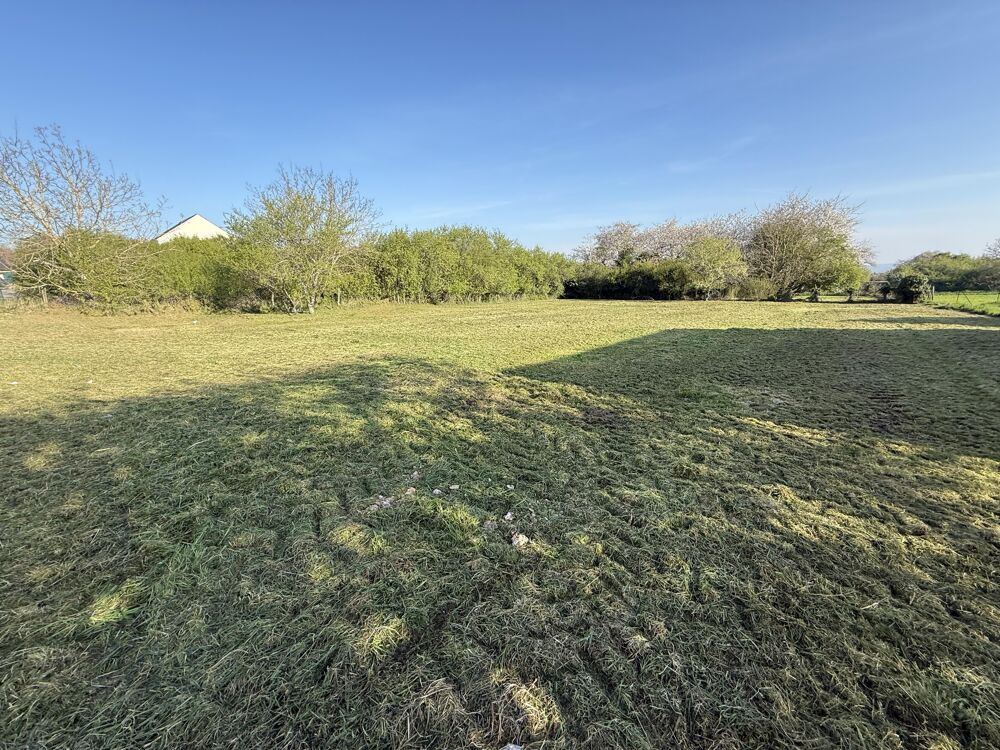 Vente Terrain Terrain constructible Villeblevin