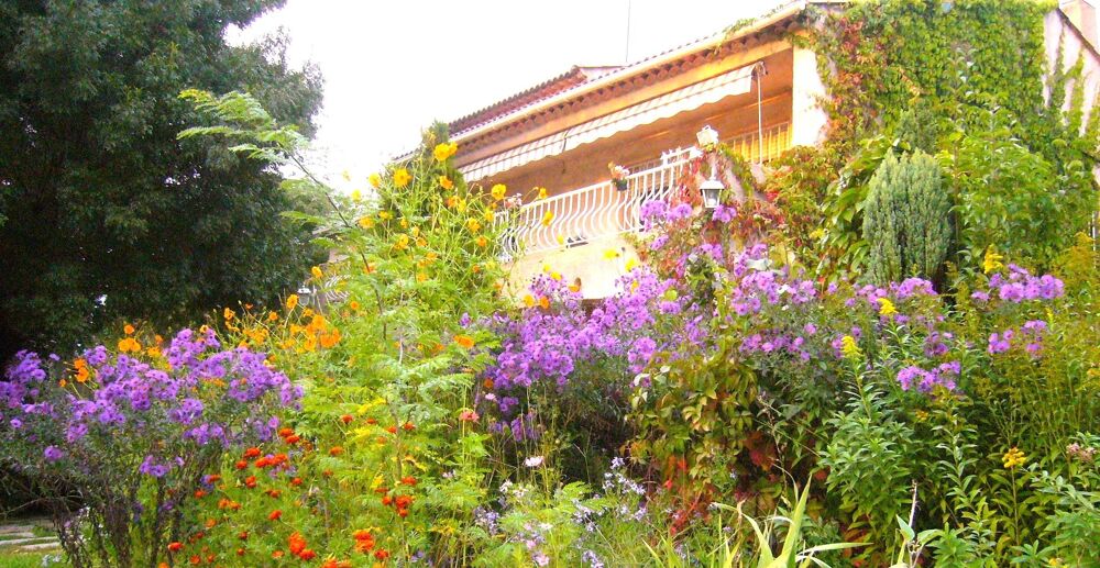 Maison 7 pièces