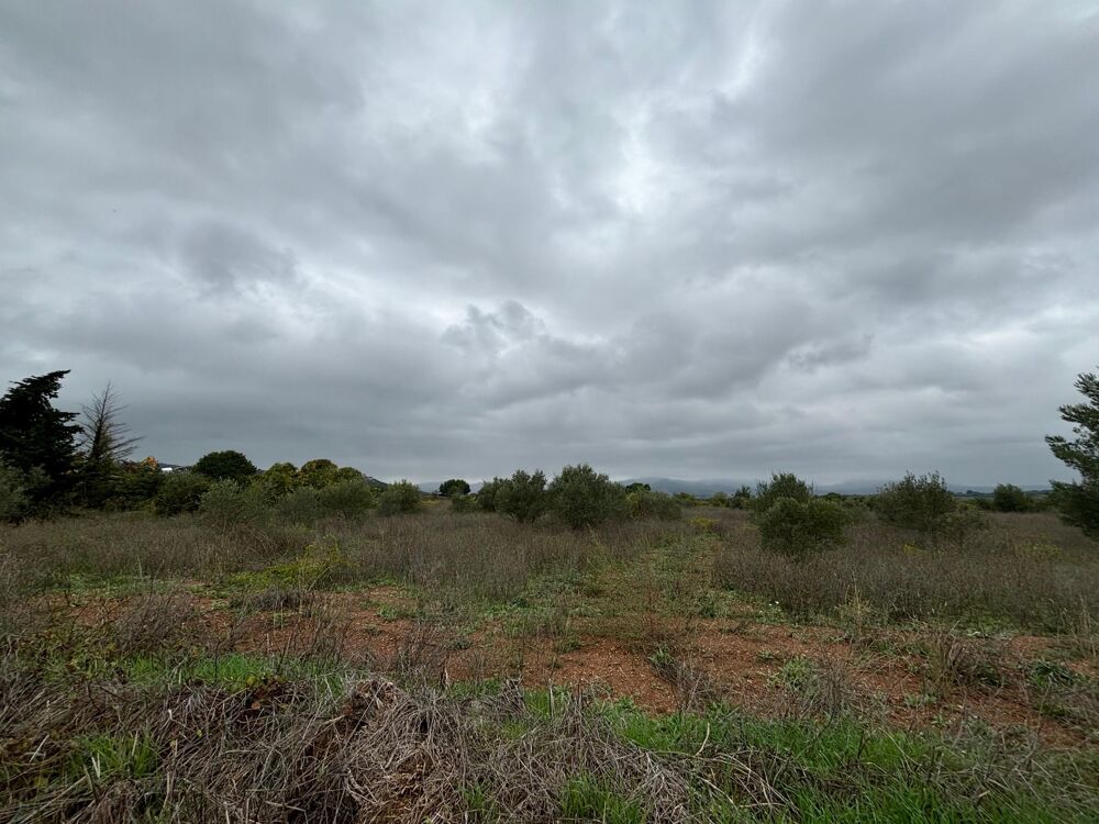 Vente Terrain Terrain agricole Clermont-l'hérault
