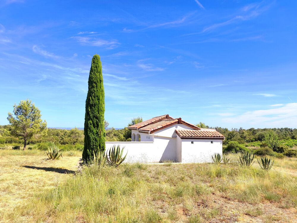 Vente Maison Mazet Villespassans