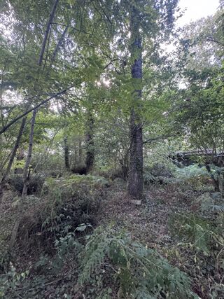  Terrain  vendre 50154 m