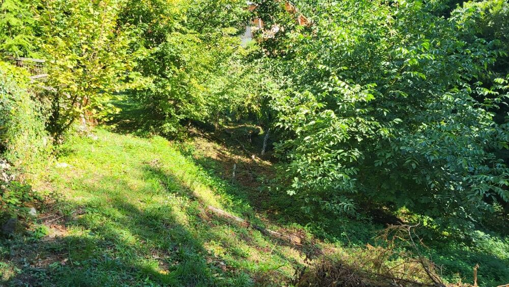 Vente Terrain Terrain Queige