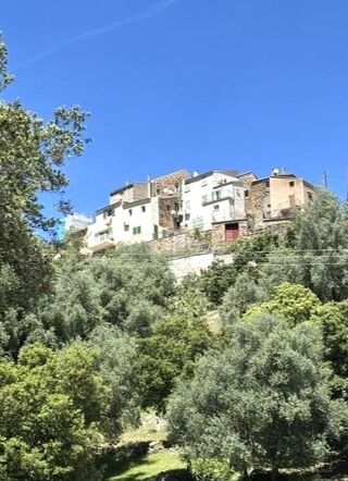  Maison � vendre 