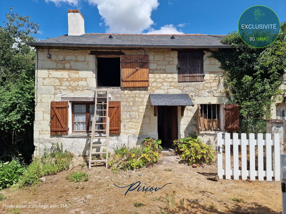 Vente Maison Maison Cizay-la-madeleine