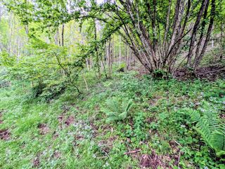  Terrain à vendre 143698 m²