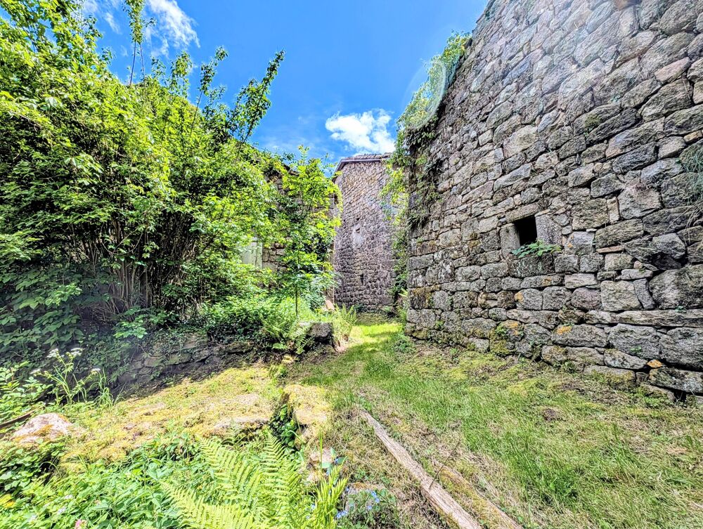 Vente Maison Maison à rénover 4 pièces Albon-d'ardèche