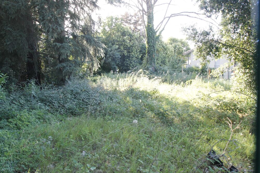 Vente Terrain Terrain constructible Montrabé