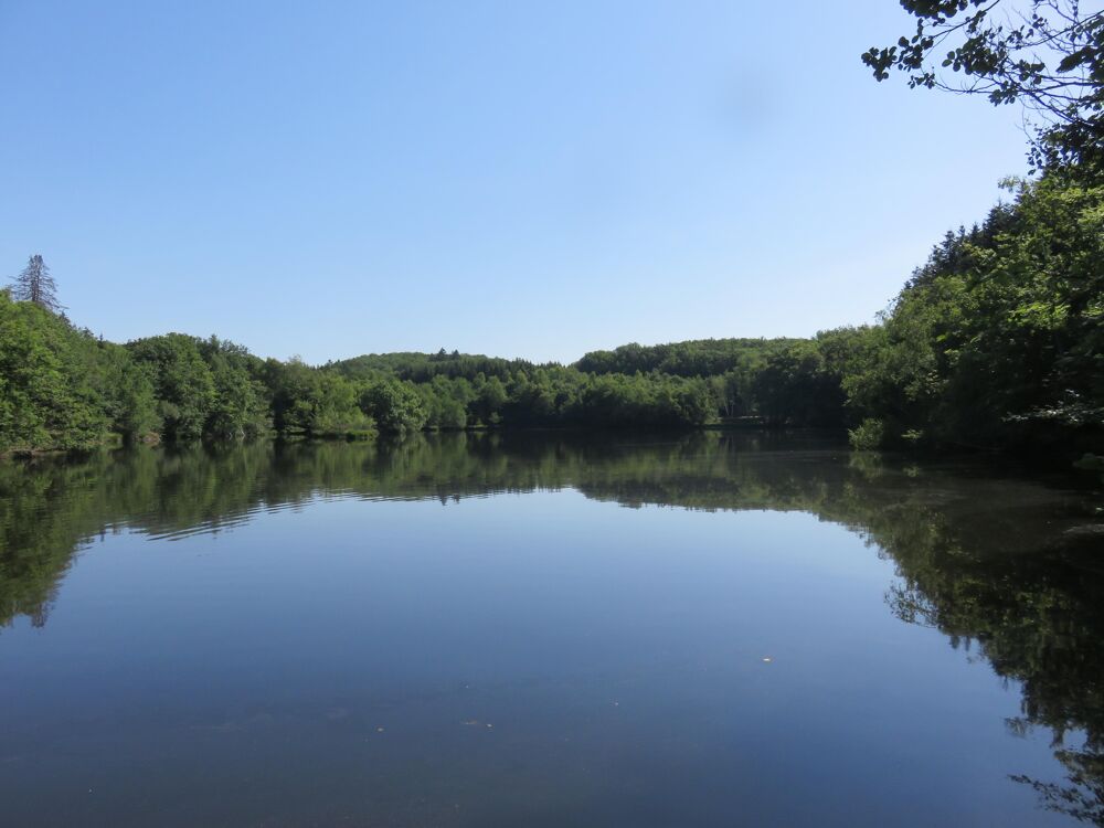 Vente Terrain Terrain de loisirs Servance-miellin