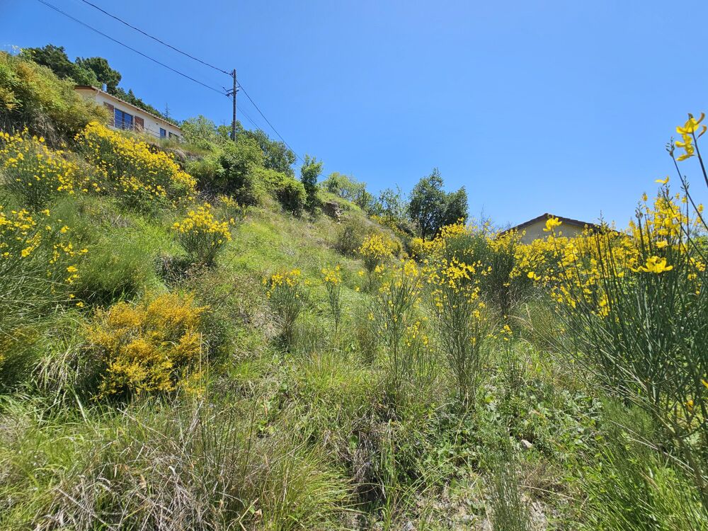 Vente Terrain Terrain de loisirs Toudon