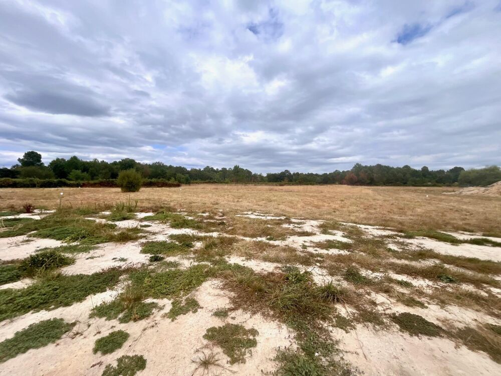 Vente Terrain Terrain constructible Pompéjac
