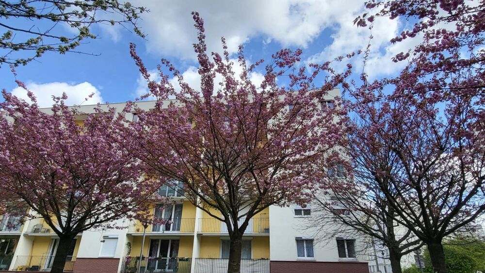 Vente Appartement Appartement 5 pièces Rosny-sous-bois