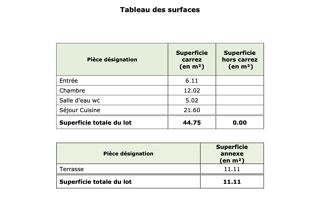  Appartement � vendre 2 pi�ces 45 m�