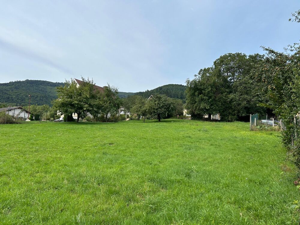 Vente Terrain Terrain constructible Soultzmatt