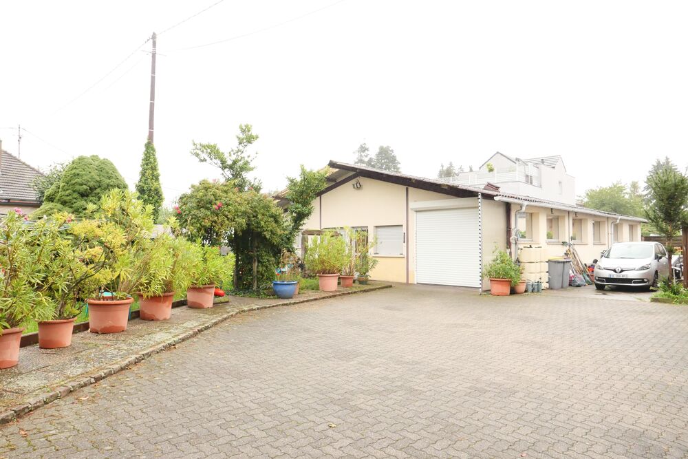Vente Immeuble Immeuble 10 pièces Kingersheim