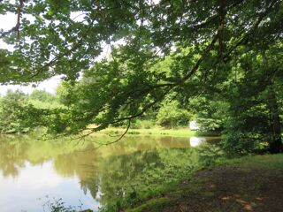  Terrain � vendre 4560 m�