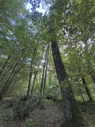  Terrain  vendre 50154 m