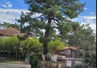  Appartement à vendre 1 pièce 