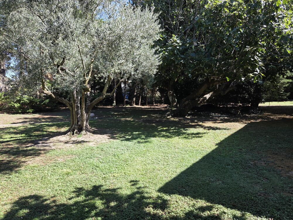 à vendre  Maison Morières-lès-Avignon (84310)