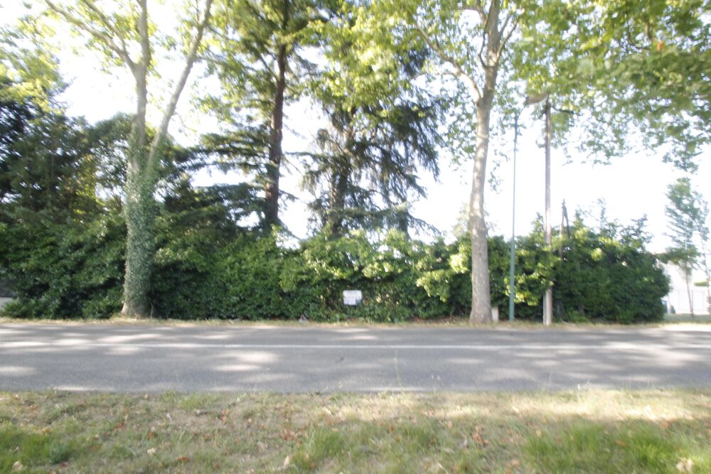 Vente Terrain Terrain constructible Montrabé