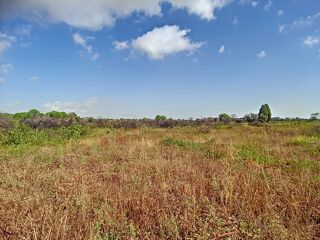  Terrain � vendre 1453 m�