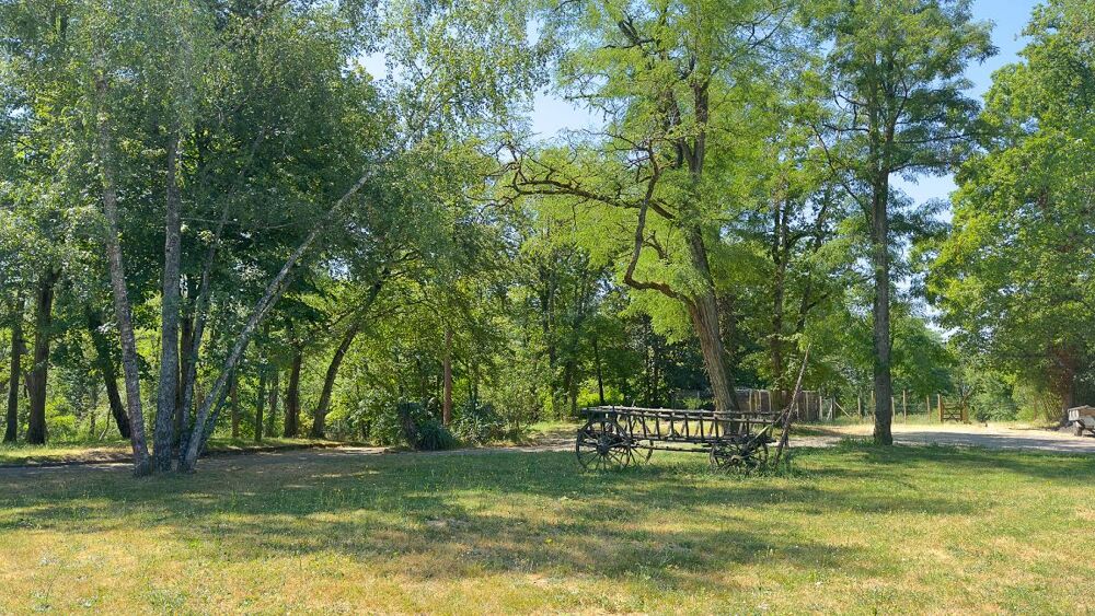 Vente Maison Maison 8 pièces Montigny-sur-loing