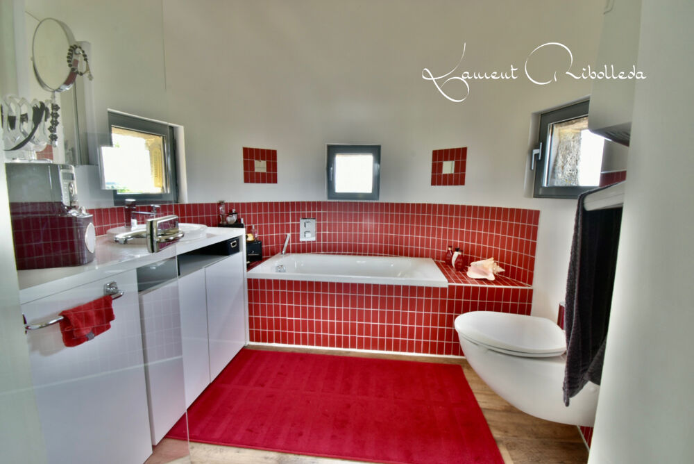  vendre  Proprit/chteau Nrac (47600)