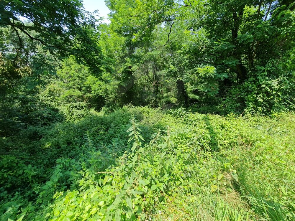 Vente Terrain Terrain Roquecourbe