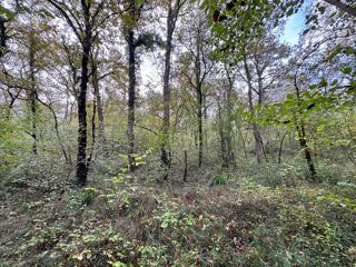  Terrain à vendre 82016 m²
