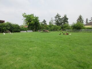  Terrain  vendre 1888 m