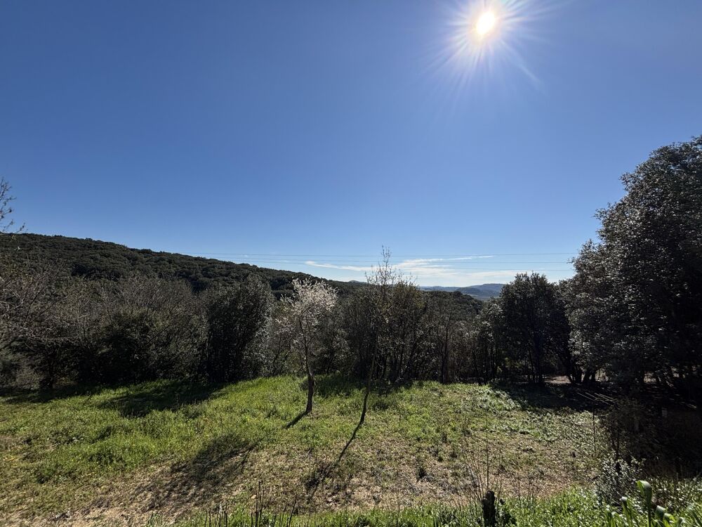 Vente Terrain Terrain constructible Roujan