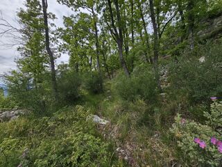  Terrain à vendre 15640 m²