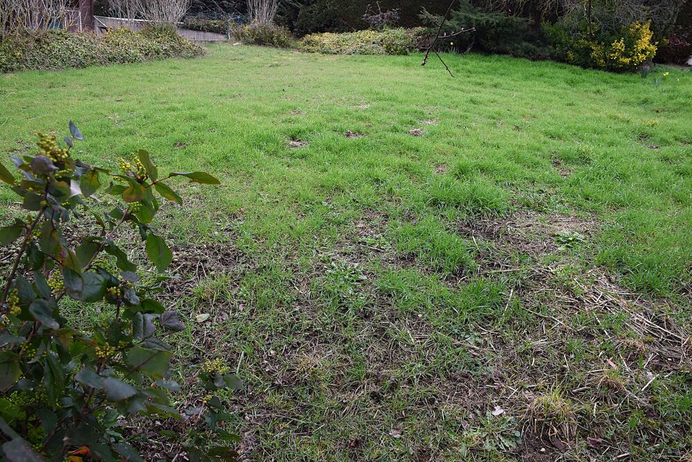 Vente Terrain Terrain constructible Chamboeuf