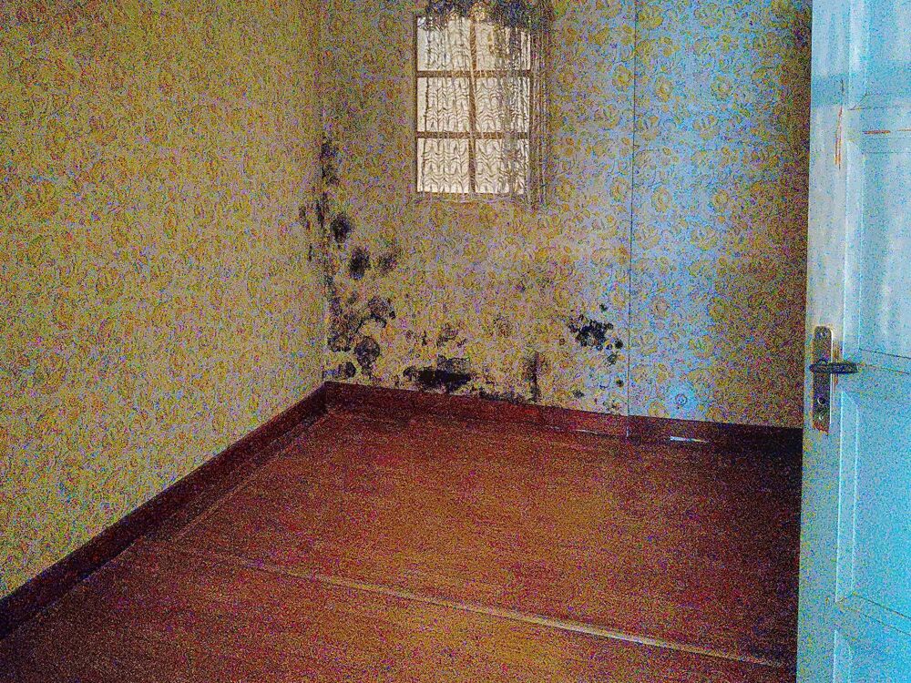 Vente Maison Maison 5 pièces Camon