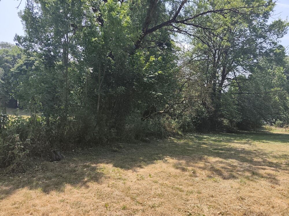 Vente Terrain Terrain constructible Anglès