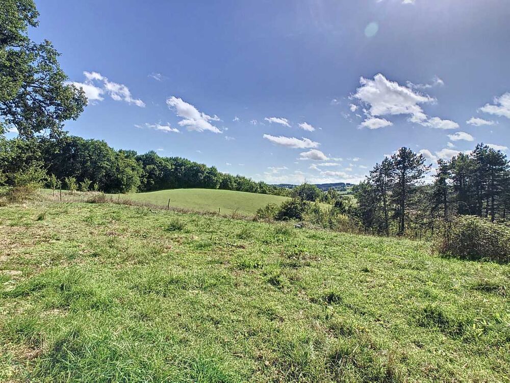 à vendre  Maison Marciac (32230)