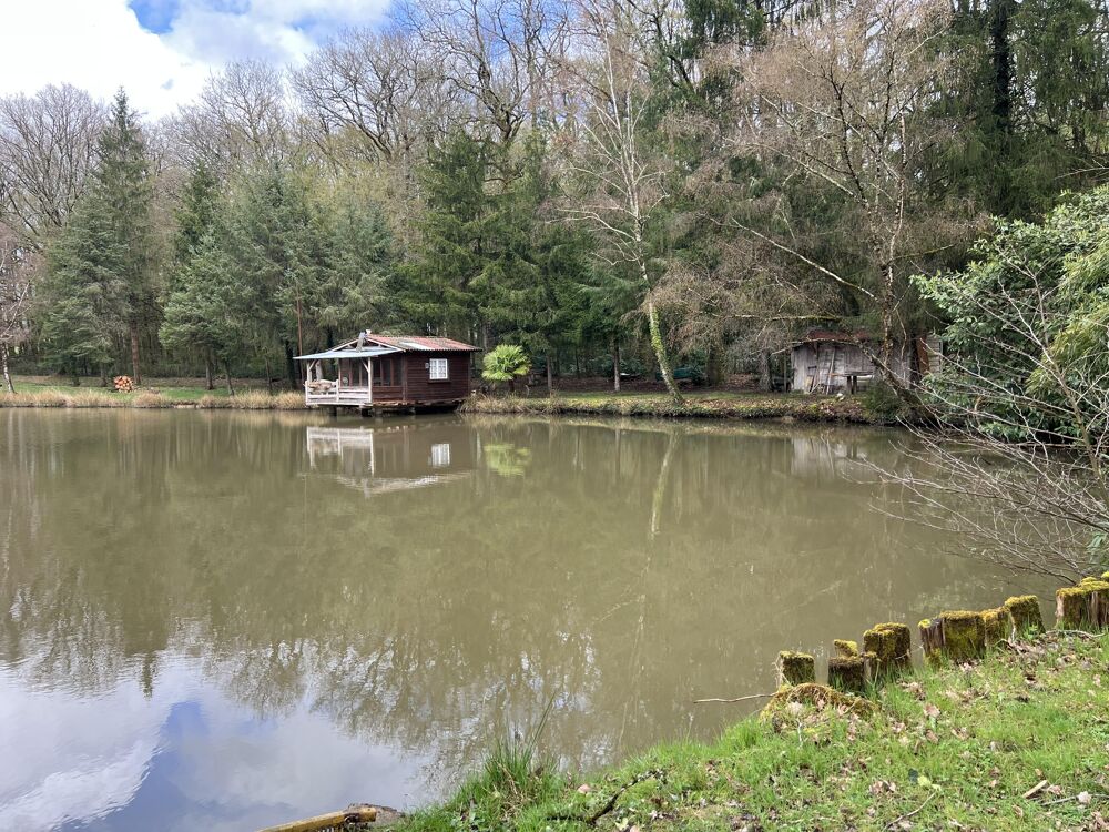 Vente Terrain Terrain de loisirs Saint-maurice-des-lions