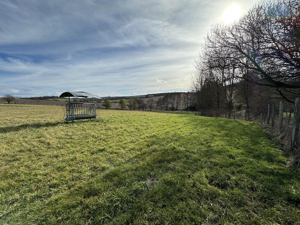 � vendre  Propri�t�/ch�teau Nevers (58000)