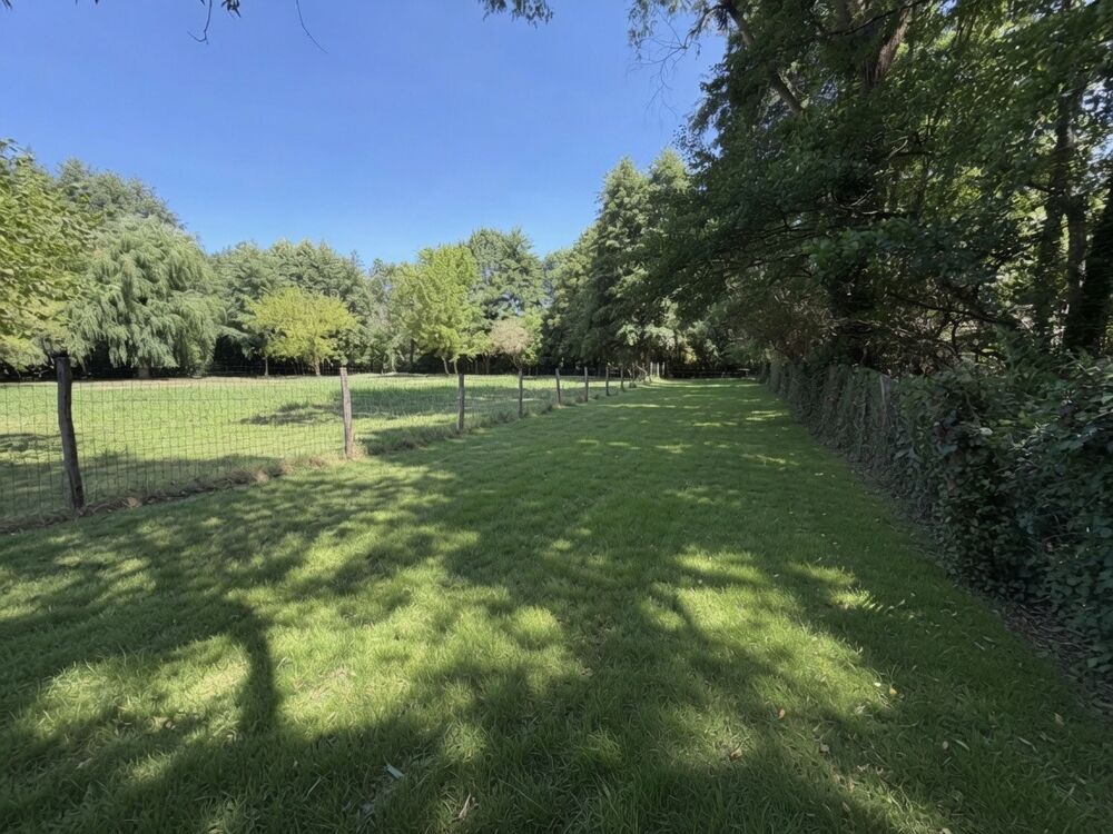 Vente Terrain Terrain constructible Nonville