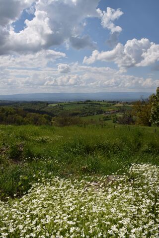  Terrain � vendre 516 m�