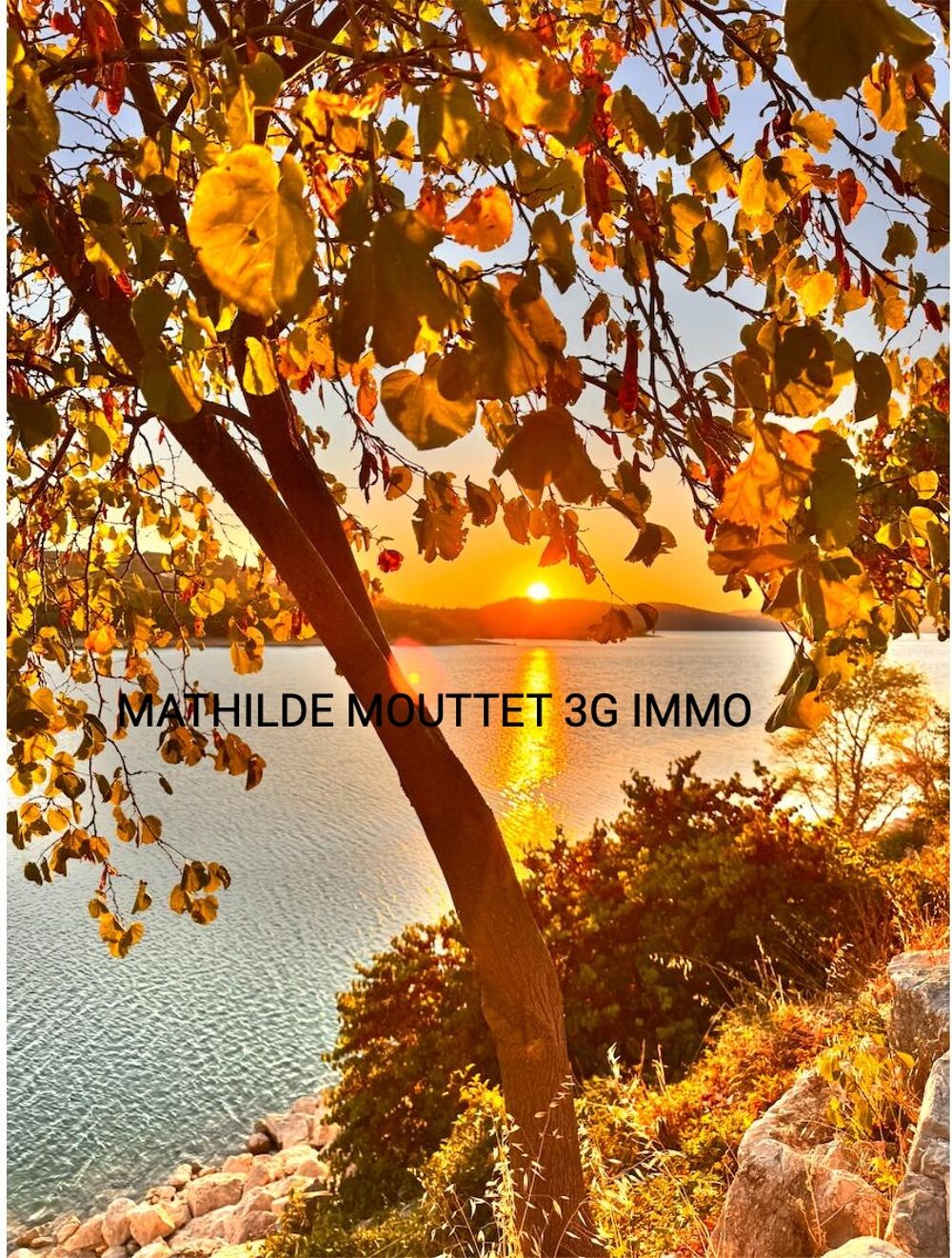 Vente Maison Mas 20 pièces Quinson