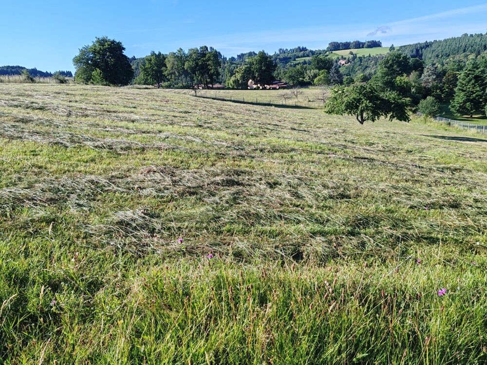 Vente Maison Maison avec dépendance 6 pièces Olliergues