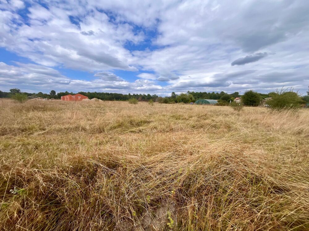 Vente Terrain Terrain constructible Bazas