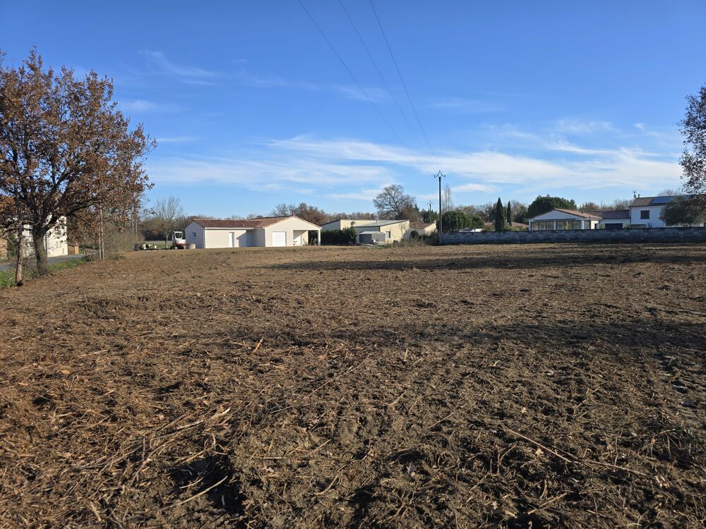 Vente Terrain Terrain constructible Cambounet-sur-le-sor