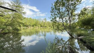  Terrain � vendre 1 pi�ce 13420 m�