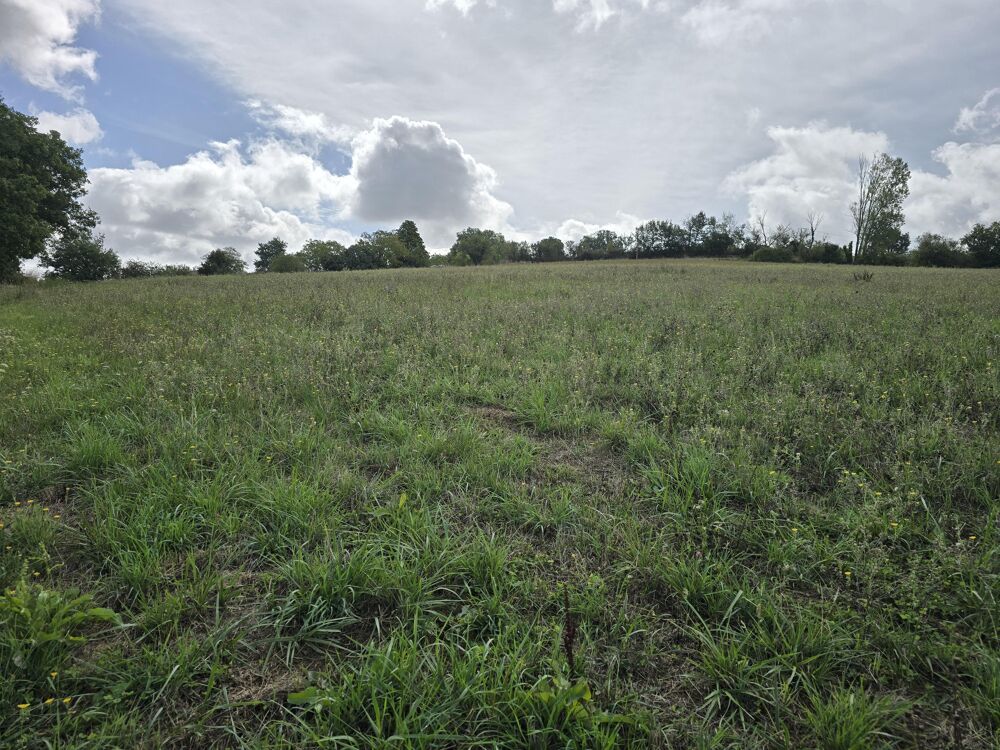 Vente Terrain Terrain de loisirs Brousse