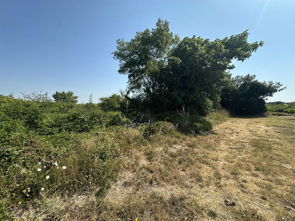 Vente Terrain Terrain agricole Laudun-l'ardoise