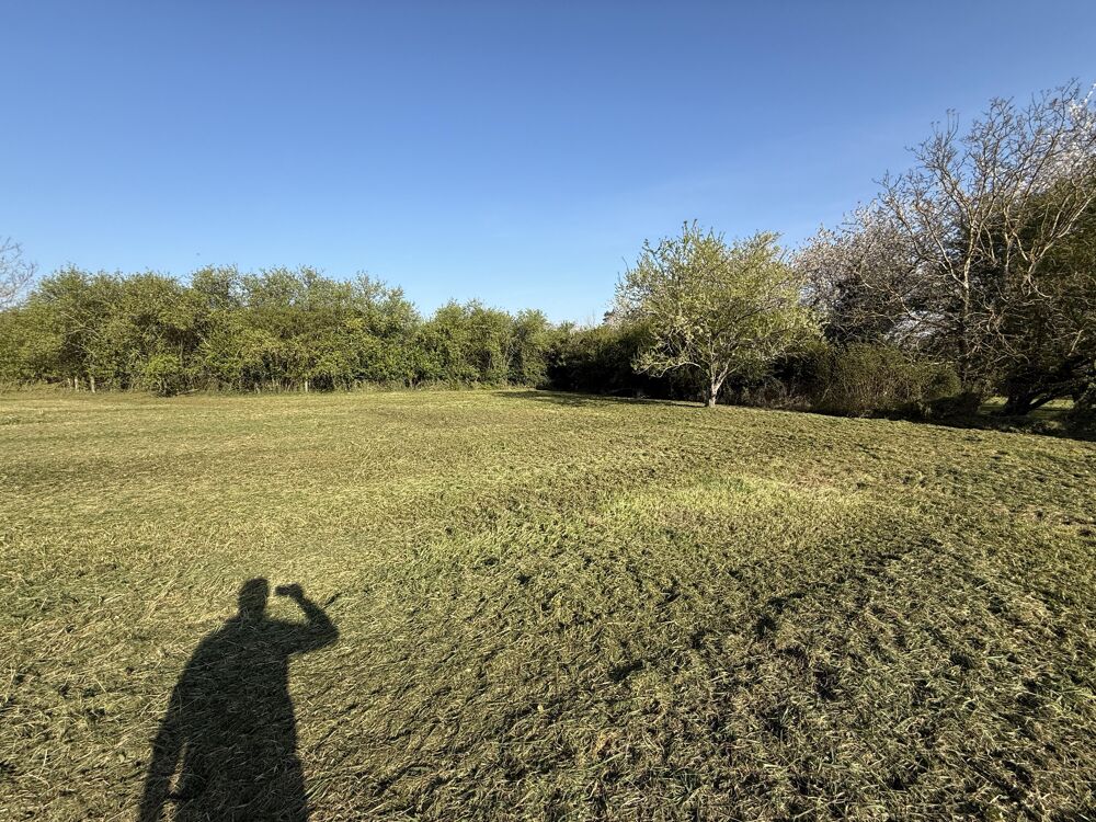 Vente Terrain Terrain constructible Villeblevin