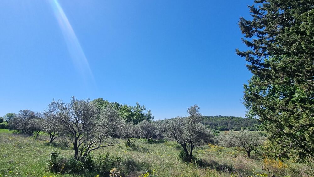Vente Terrain Terrain constructible Saint-jean-de-ceyrargues